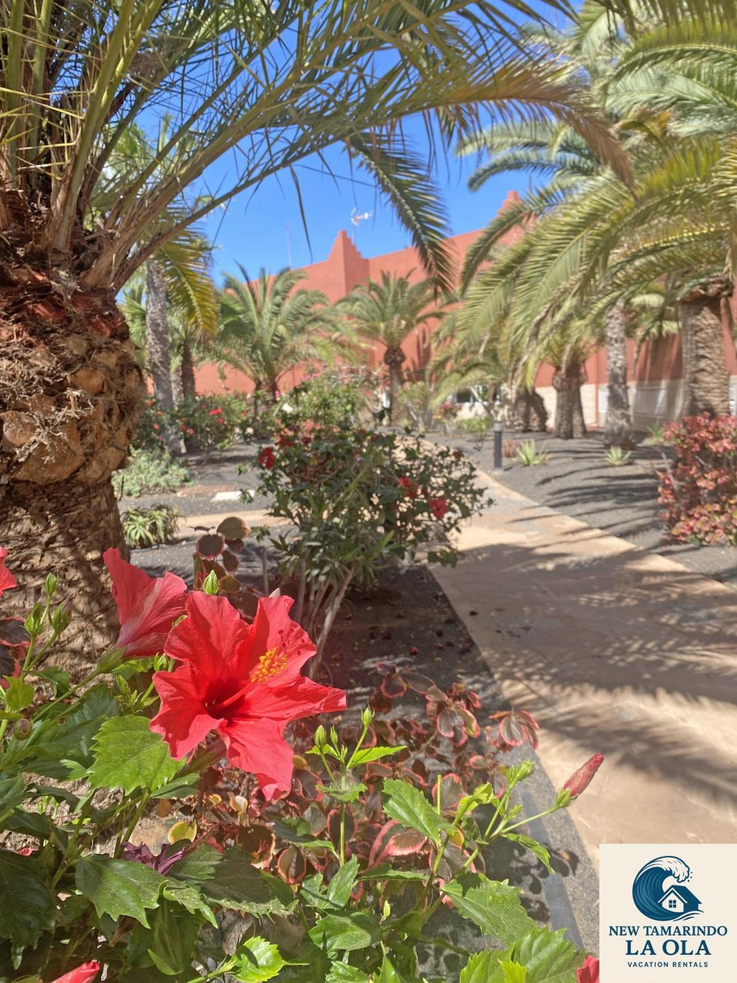 Apartmán New Tamarindo La Ola Corralejo Exteriér fotografie