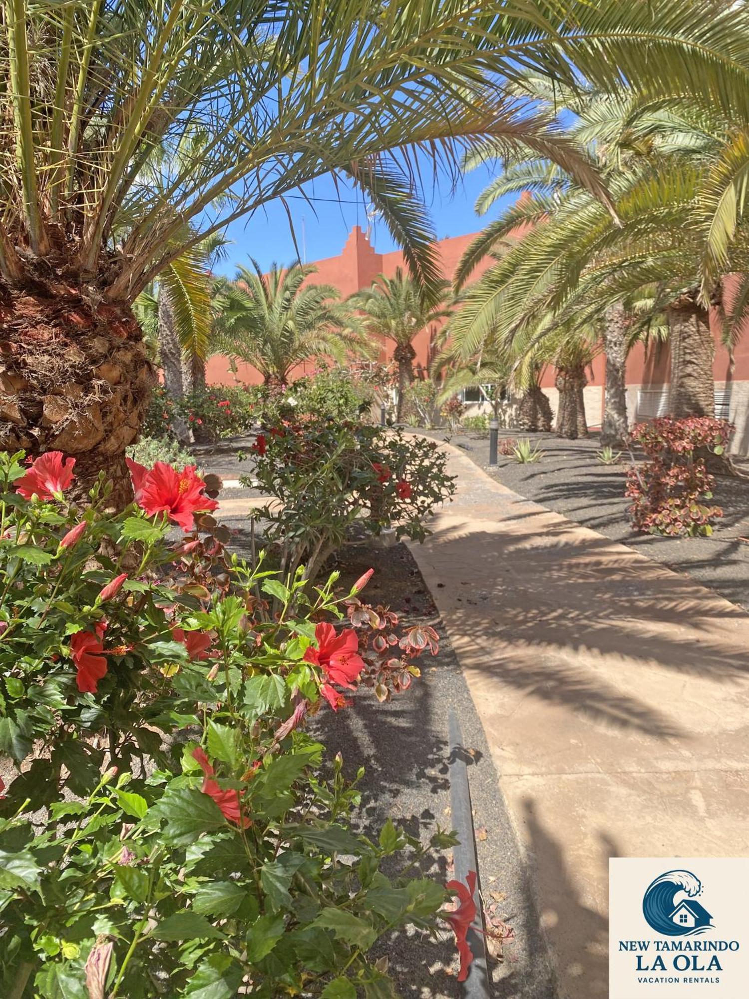 Apartmán New Tamarindo La Ola Corralejo Exteriér fotografie
